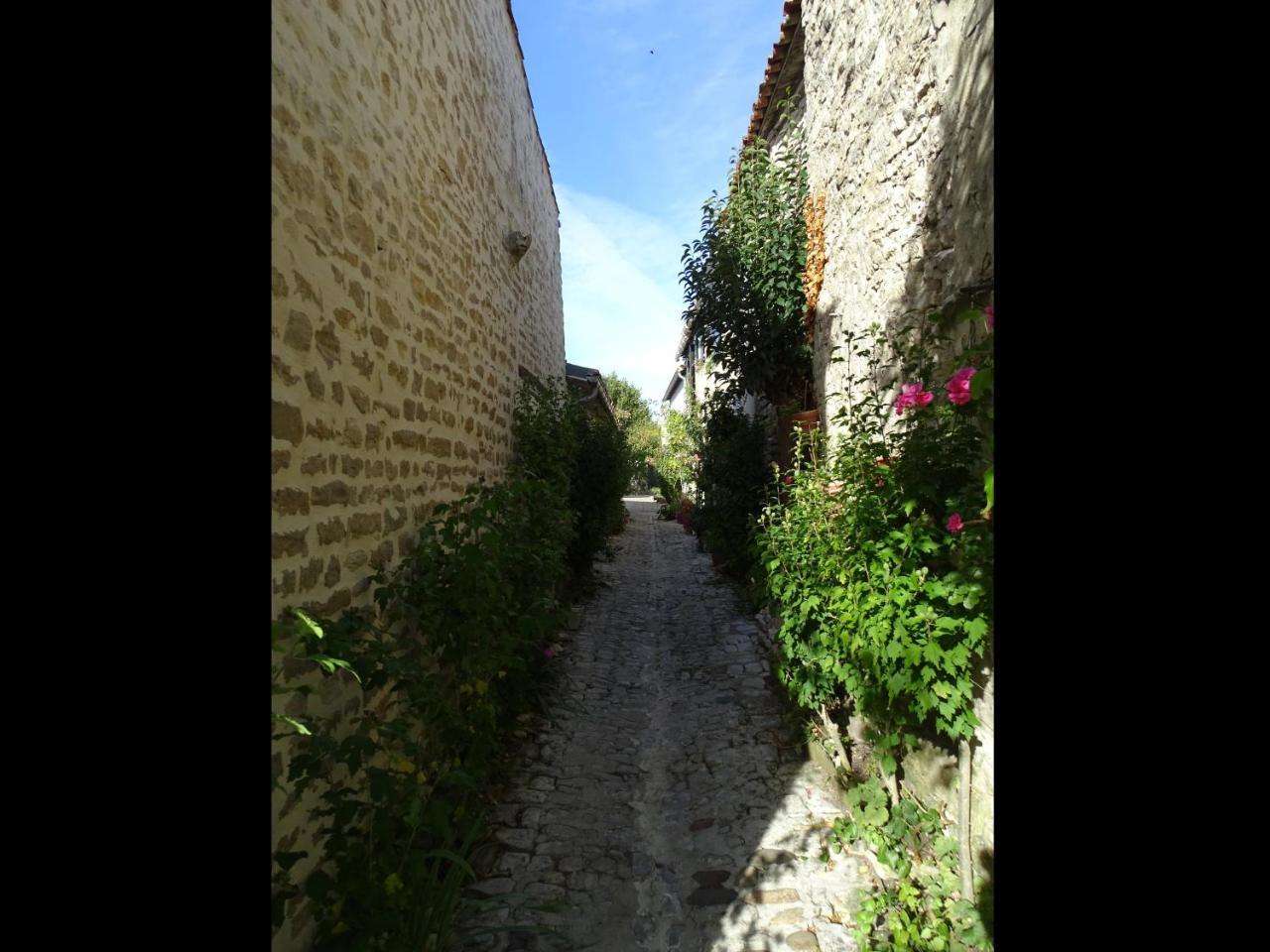 Maison Salicorne La Flotte Dış mekan fotoğraf
